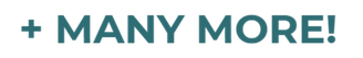 Accepted insurance logo